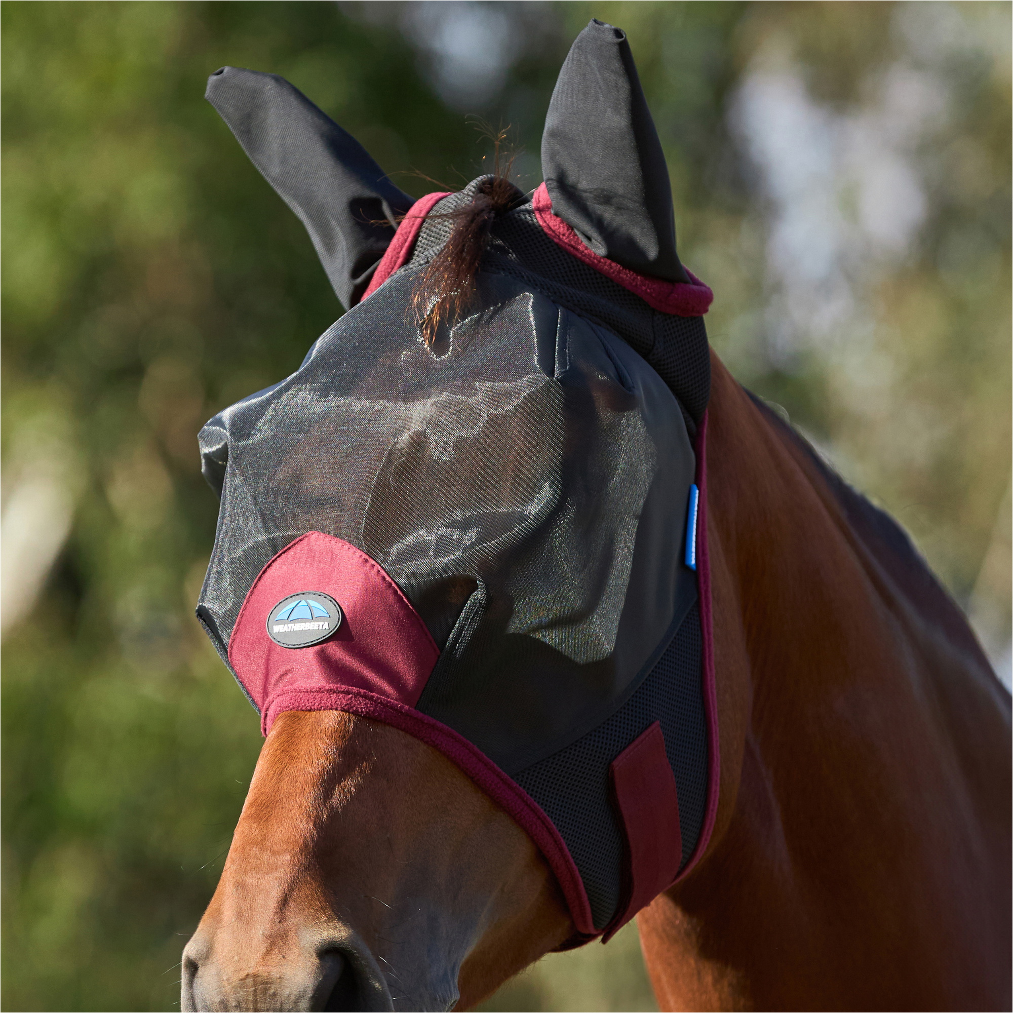 2026 WeatherBeeta Comfitec Fine Mesh Fly Mask With Ears 1029732010 - Black / Burgundy